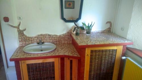 a bathroom with a sink and a mirror at Apartment Sonca in Bled