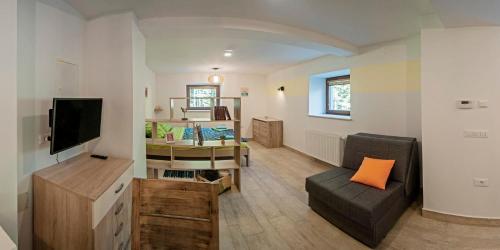 ein Wohnzimmer mit einem Sofa, einem Stuhl und einem TV in der Unterkunft Apartments Villa Vesna Pokljuka in Goreljek