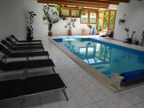 ein Pool mit Chaiselongue daneben in der Unterkunft Gästehaus Kaiser in Kitzeck im Sausal