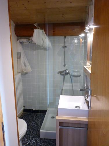 une salle de bain avec un lavabo, une douche et des toilettes dans l'établissement Les Amborzales, au Grand-Bornand
