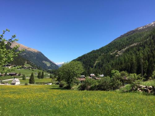 a field of flowers in a valley with mountains at Ferienwohnungen Böhm in Sankt Jakob in Defereggen