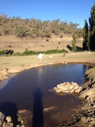 a person standing in front of a pond with a dog at Woodvale at Cooma in Cooma