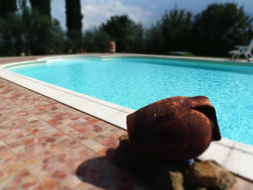 Podere La Capacciola - Housity