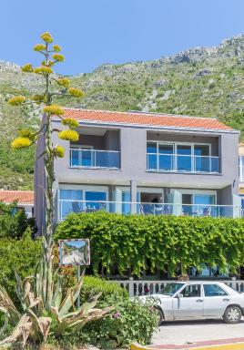 Boutique Flamingo B&B - Housity