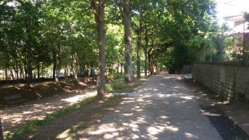 alloggio turistico olmata - Housity