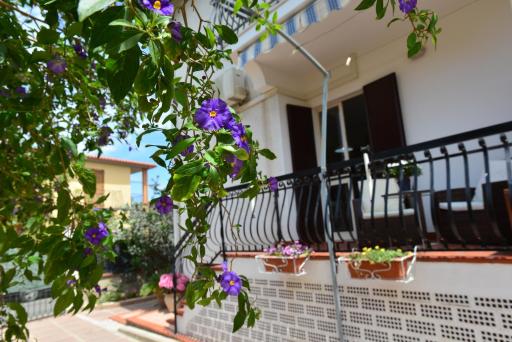 Villa Elisabetta Apartments - Housity