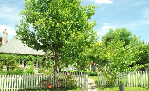 Un Parfum de Violette - Housity