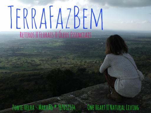 TerraFazBem - Housity