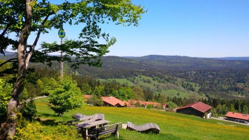 Apartman Šumava - Bavorský les - Housity