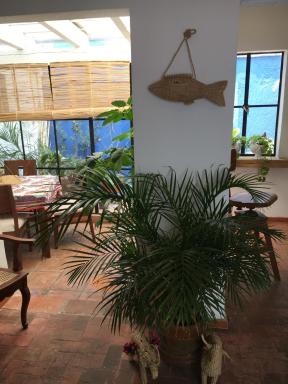 Casa Molcajete - Housity