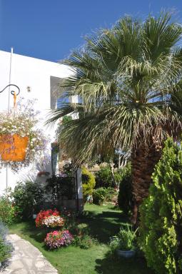 Korfes Apartments - Housity