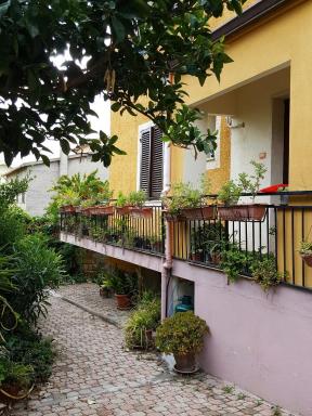 B&B Sara - Housity