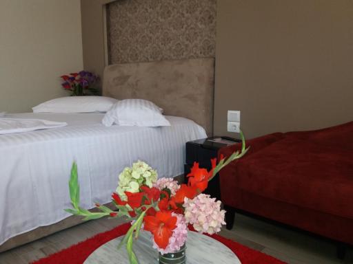 Hotel Erandi - Housity