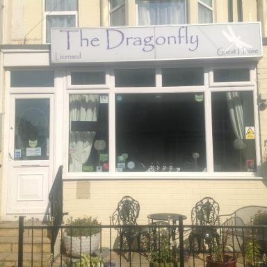 The Dragonfly - Hizvo