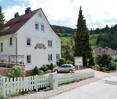 Pension Rheingold Garni - Housity