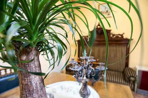 Luna apartment - Housity