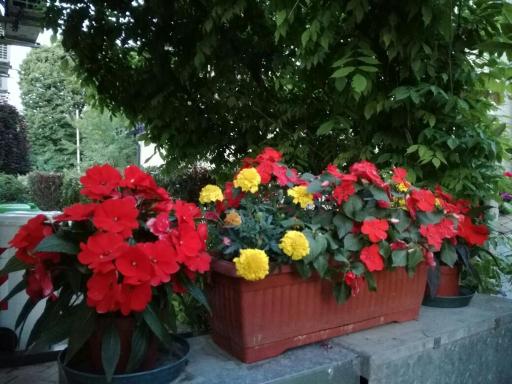 B&B Morosini - Housity