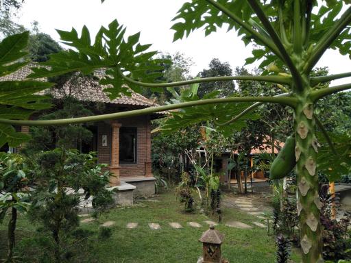 Dina Homestay - Hizvo