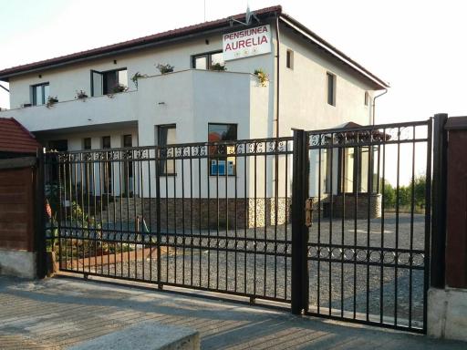 Pensiunea Aurelia - Housity