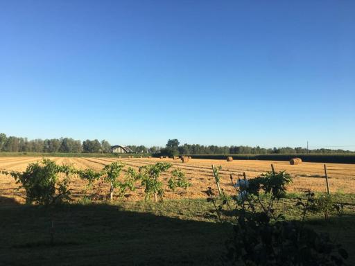 B&B DE CAROL - Housity