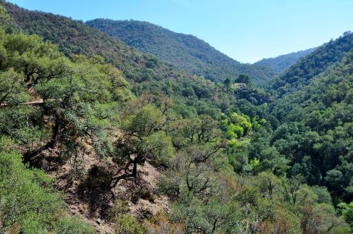 Casa rural Vista Alegre , cerca de Valencia y Castellón - Housity