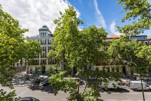 Petit Palace Lealtad Plaza - Housity