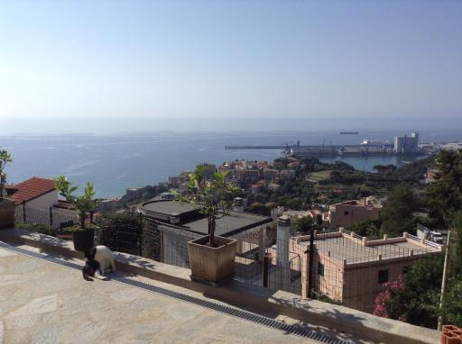 Camera Asia - Housity