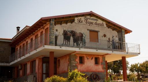Agriturismo Le Vigne Ducali - Housity