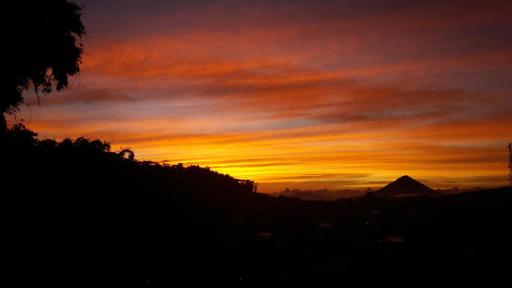 Bajawa-Roo Hotel - Housity