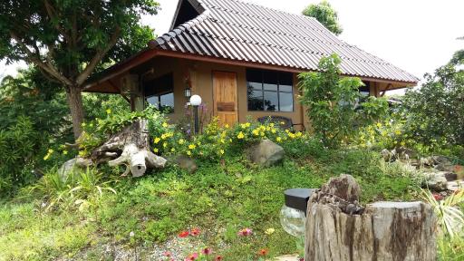 เฮือนปลายนา โฮมสเตย์ - Housity