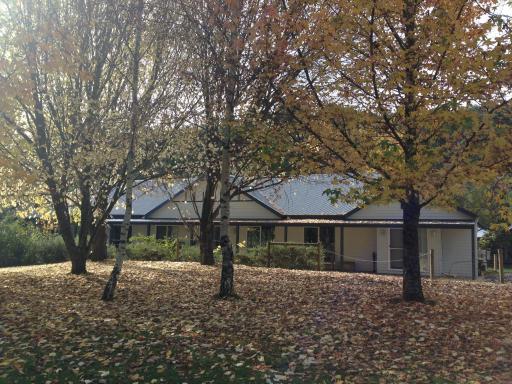 Goldberryaccommodation - Housity