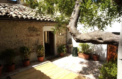 L'albero di Giuggiole - Housity