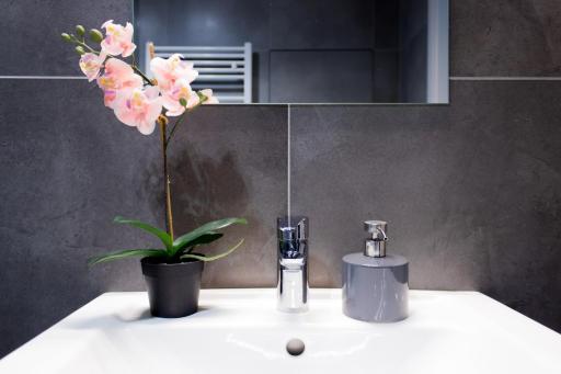 Amazing Apartments - Housity