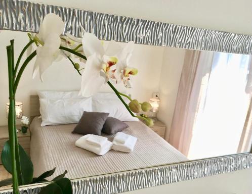 Orchidea in Centro - Housity