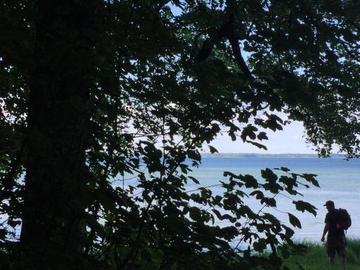 LindegaardApartment - woods and sea - Housity