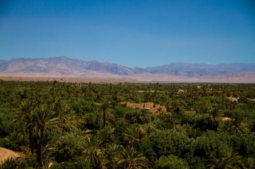 Skoura Lodge - Housity