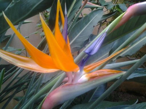 Bed and Breakfast Il Sole - Housity