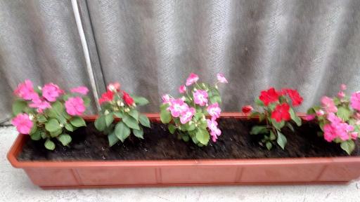 Apartment on Gogolya 4 - Housity