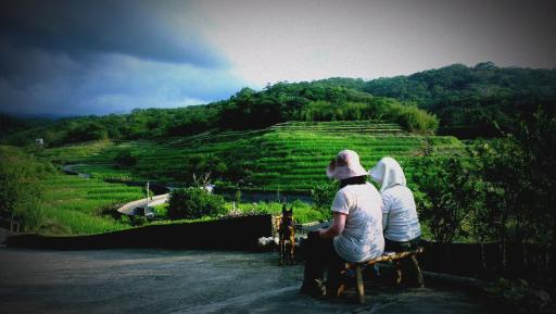 Emoonten Homestay - Housity