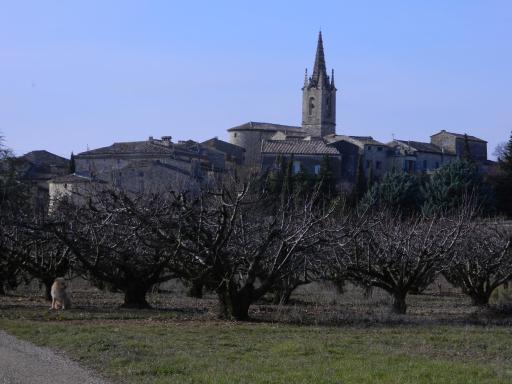 Maison de Dame Tartine - Housity