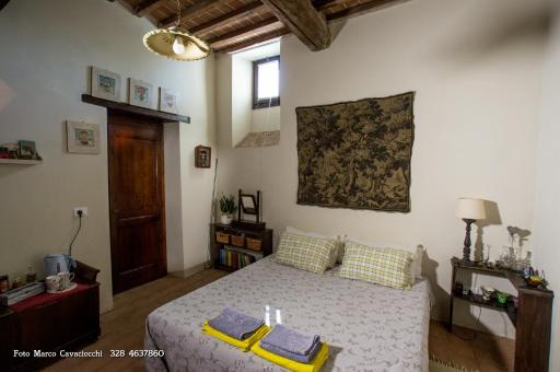Il Bosso di Toscana - Housity