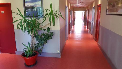 Le Cormoran - Housity
