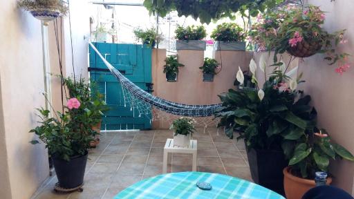 Les Hibiscus - Housity