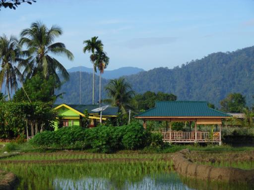 AMBOW Homestay Jungle Trekking & Village Tour - Housity