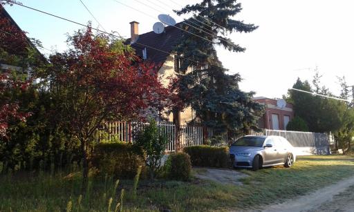 Tőserdő - Housity