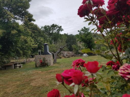 Casa Rural El Castaño - Housity