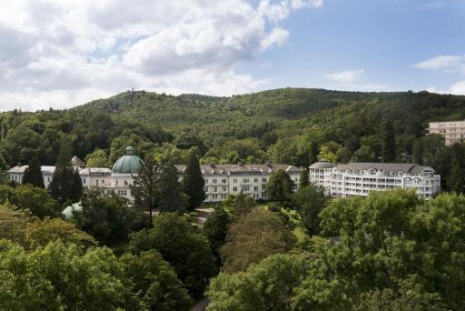 Maritim Hotel Bad Wildungen - Housity
