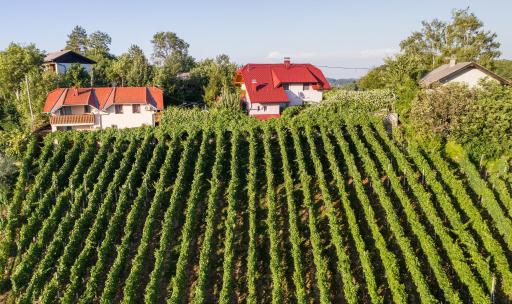 Apartment House Sumrak - Housity