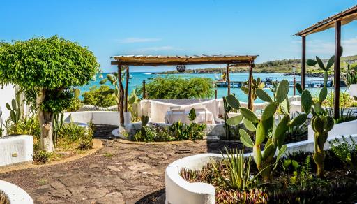 Casa Opuntia - Housity