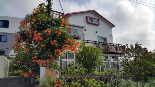 Bangdigareum B&B - Housity